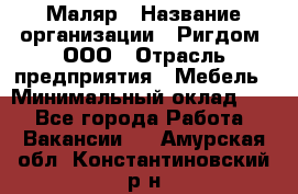 Маляр › Название организации ­ Ригдом, ООО › Отрасль предприятия ­ Мебель › Минимальный оклад ­ 1 - Все города Работа » Вакансии   . Амурская обл.,Константиновский р-н